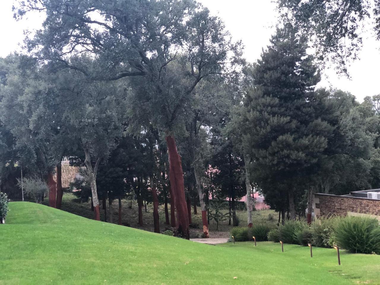 Bosque Da Harmonia Pensionat Arco de Baulhe Exteriör bild